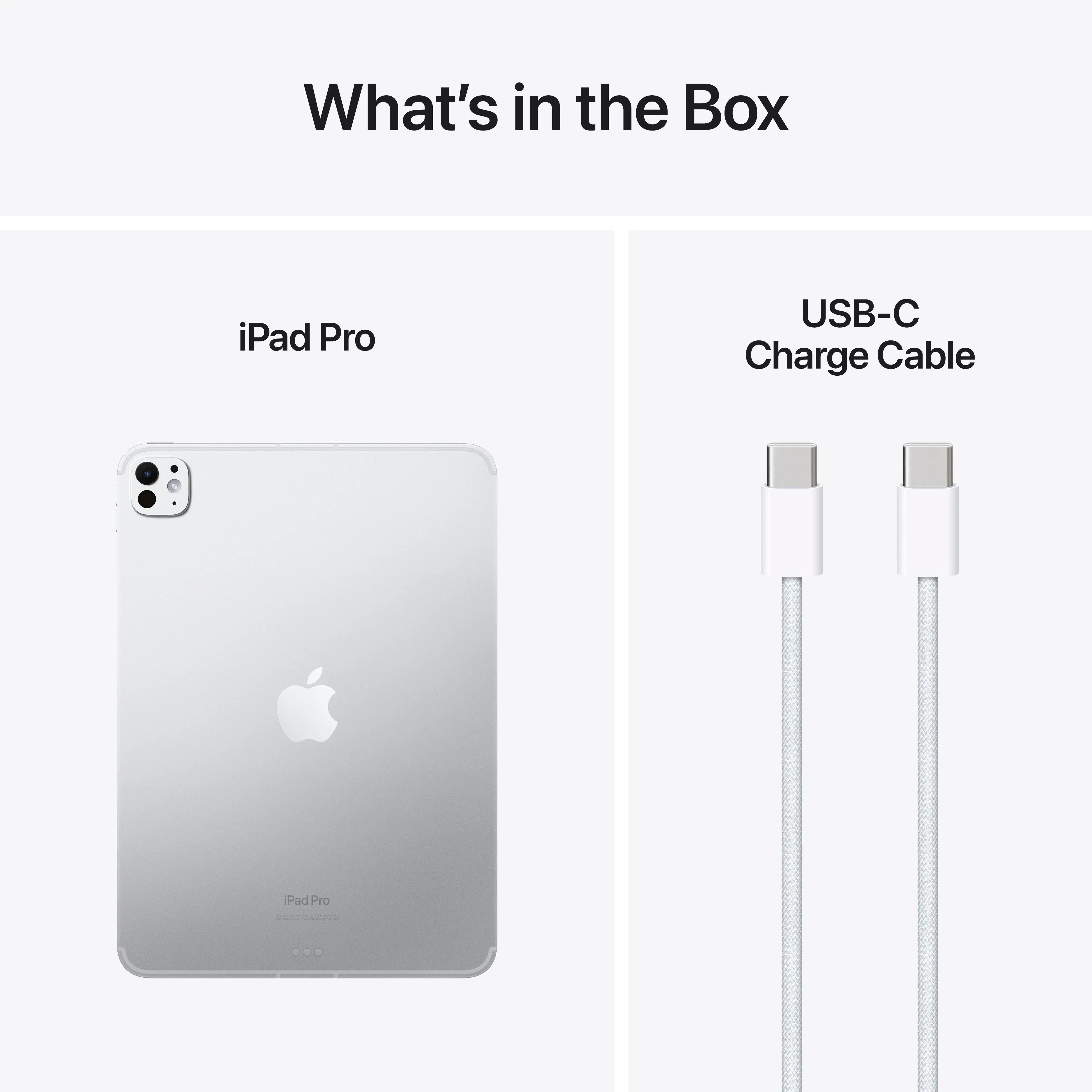 iPad Pro 11" M4, 1TB, Cellular, Standard Glass, Silver - Image 10