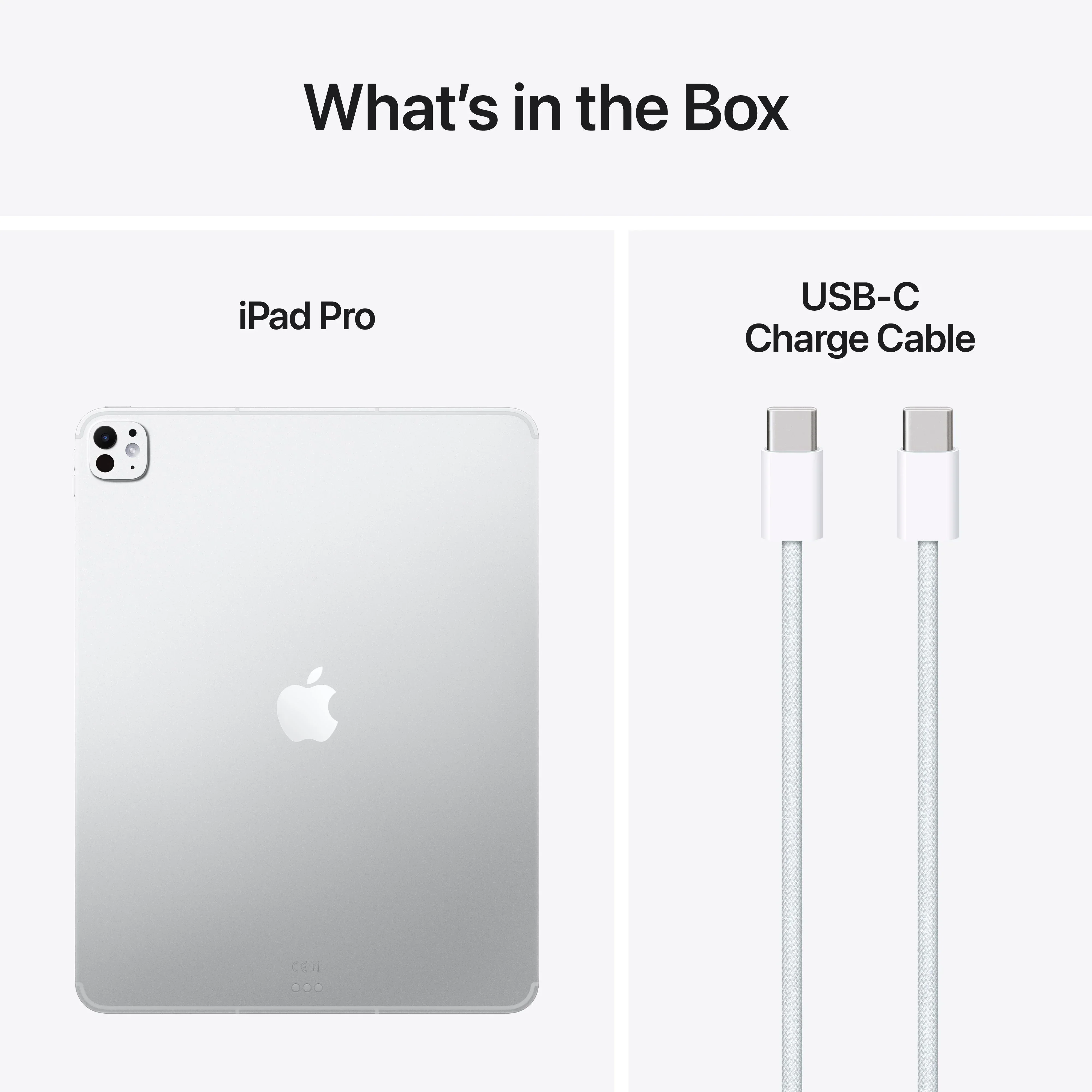 iPad Pro 13" M5, 2TB, Cellular, Standard Glass, Silver - Image 9