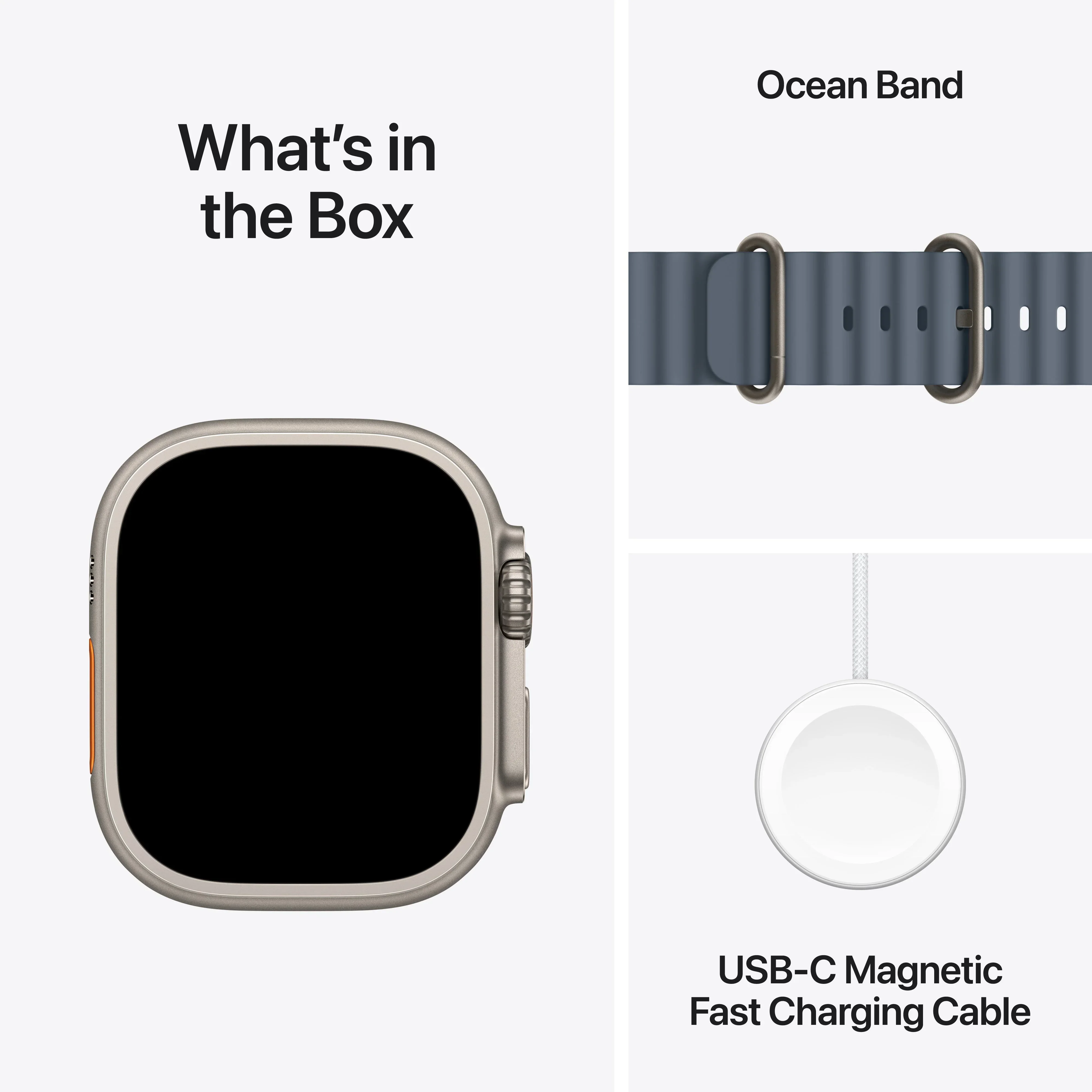 Apple Watch Ultra 3 GPS + Cellular 49mm Natural Titanium Case with Anchor Blue Ocean Band - Image 7