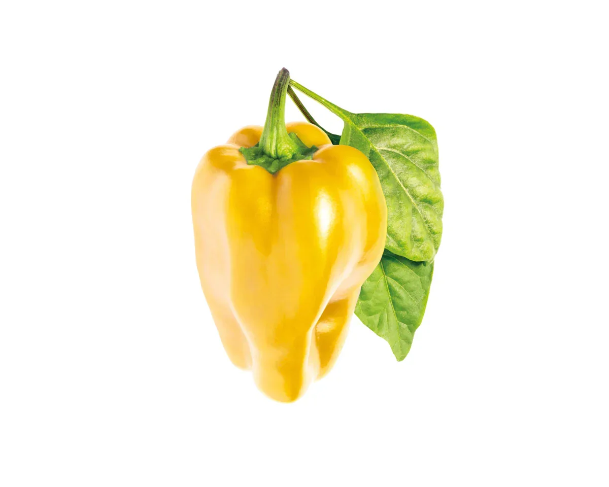 Capsule Click & Grow cu seminte si substrat de ardei galben 3buc