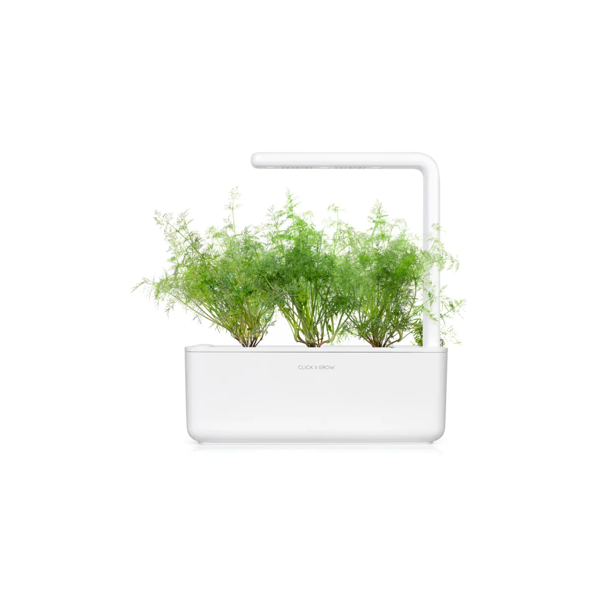 Capsule Click & Grow cu seminte si substrat de marar 3buc - Image 4