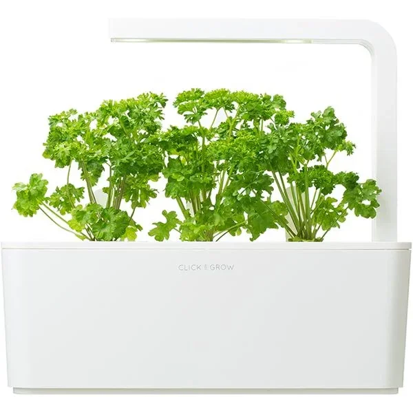 Capsule Click & Grow cu seminte si substrat de patrunjel 3buc - Image 3