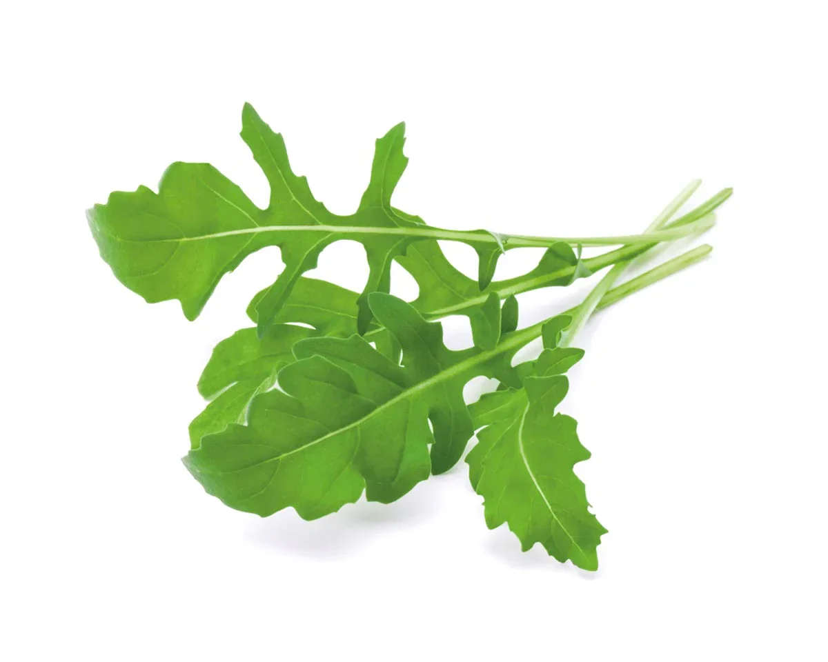 Capsule Click & Grow cu seminte si substrat de rucola 3buc