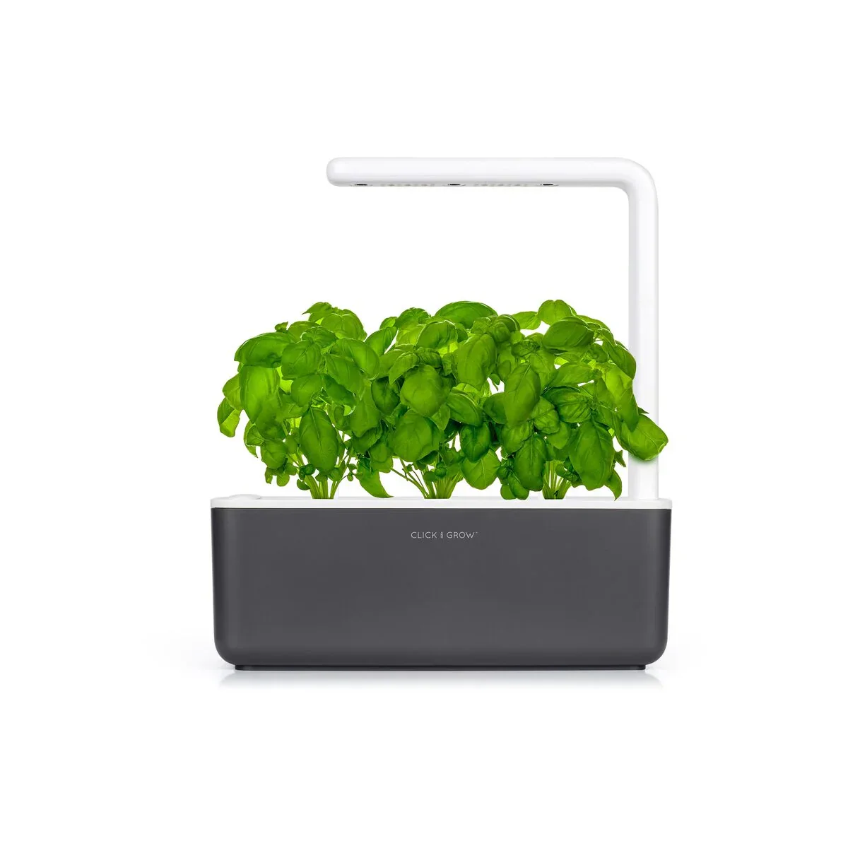Gradina inteligenta Click & Grow Smart Garden 3, Gri - Image 2