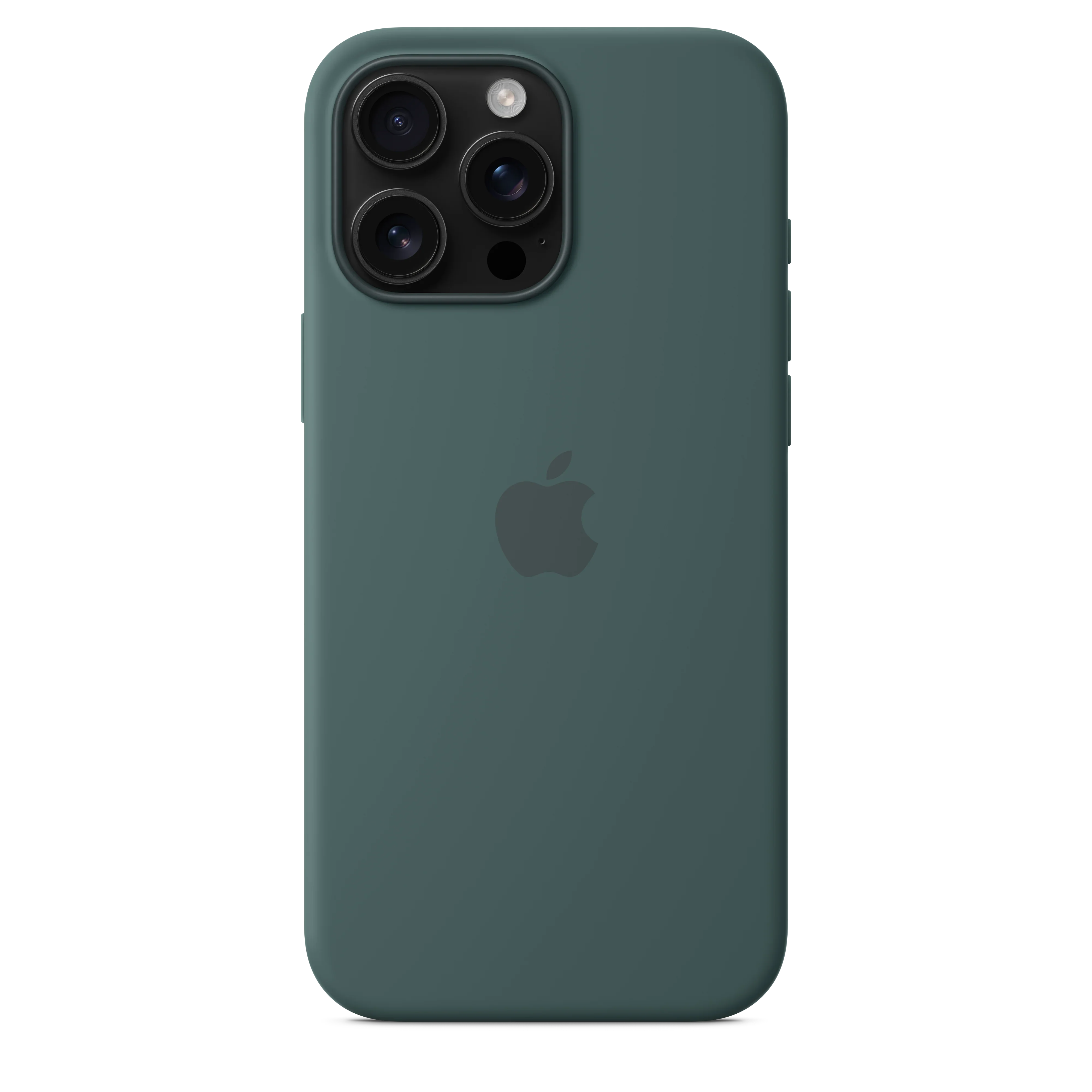 Husa de protectie Apple cu MagSafe pentru iPhone 16 Pro Max, Silicon, Lake Green (Seasonal) - Image 4