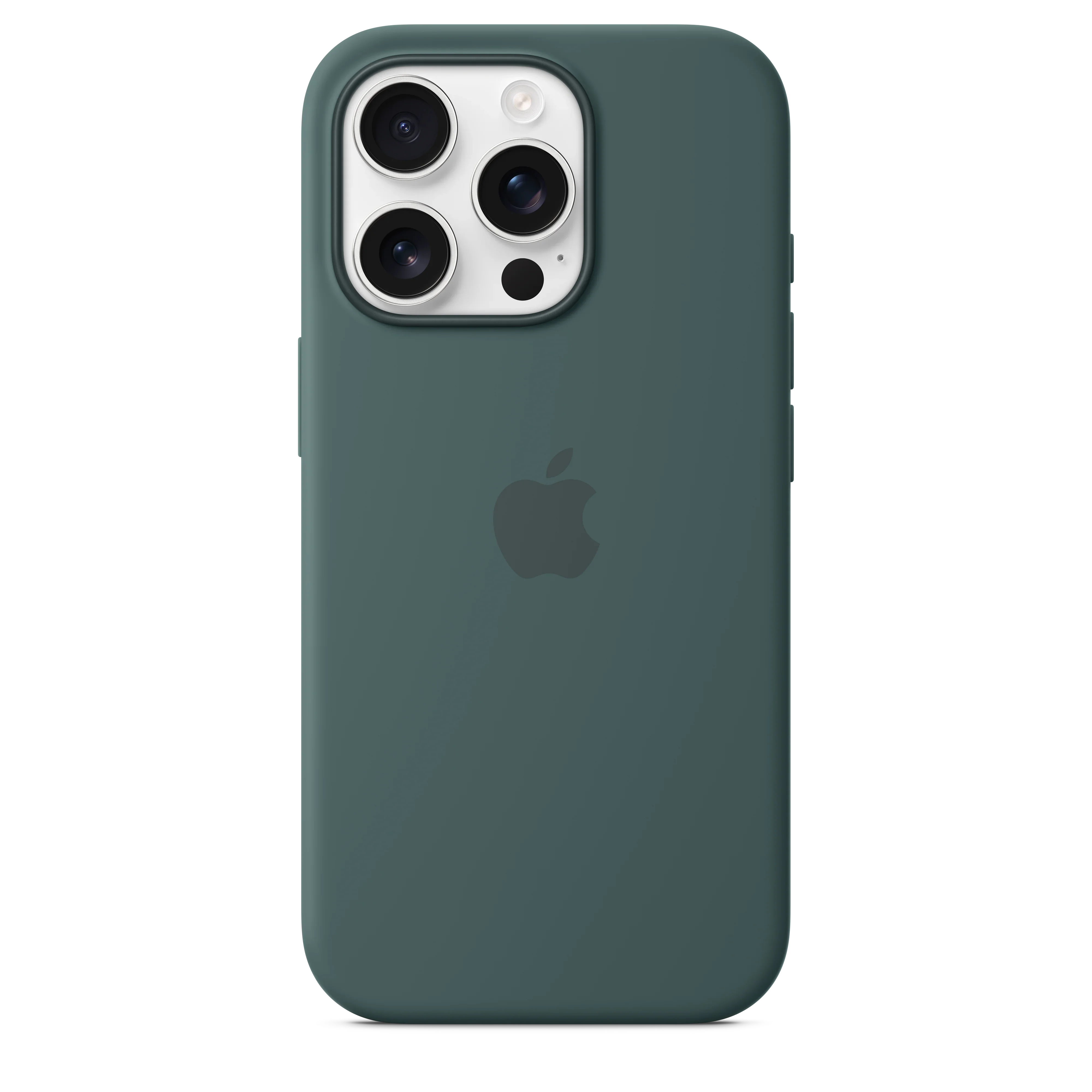 Husa de protectie Apple cu MagSafe pentru iPhone 16 Pro, Silicon, Lake Green (Seasonal) - Image 3
