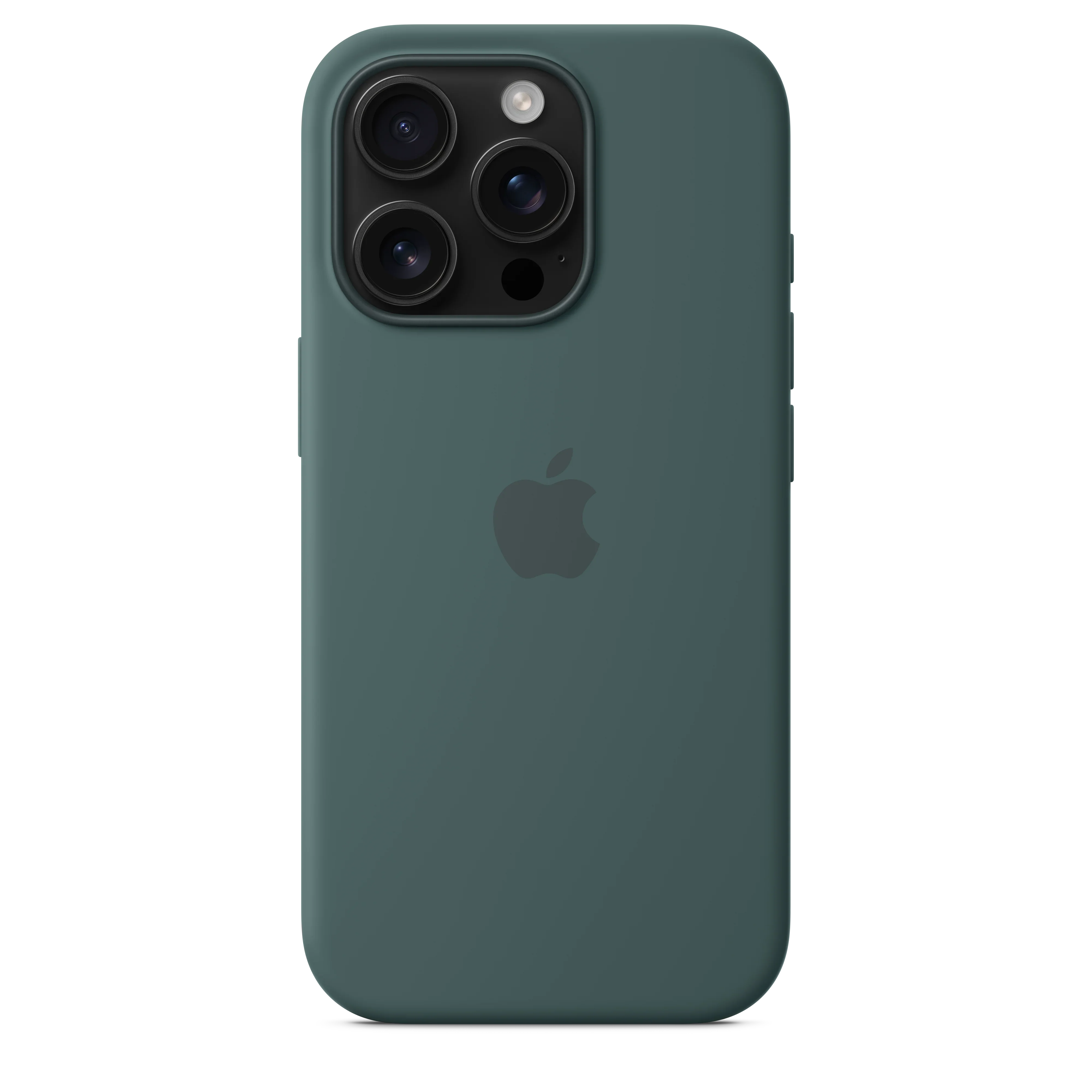 Husa de protectie Apple cu MagSafe pentru iPhone 16 Pro, Silicon, Lake Green (Seasonal) - Image 4