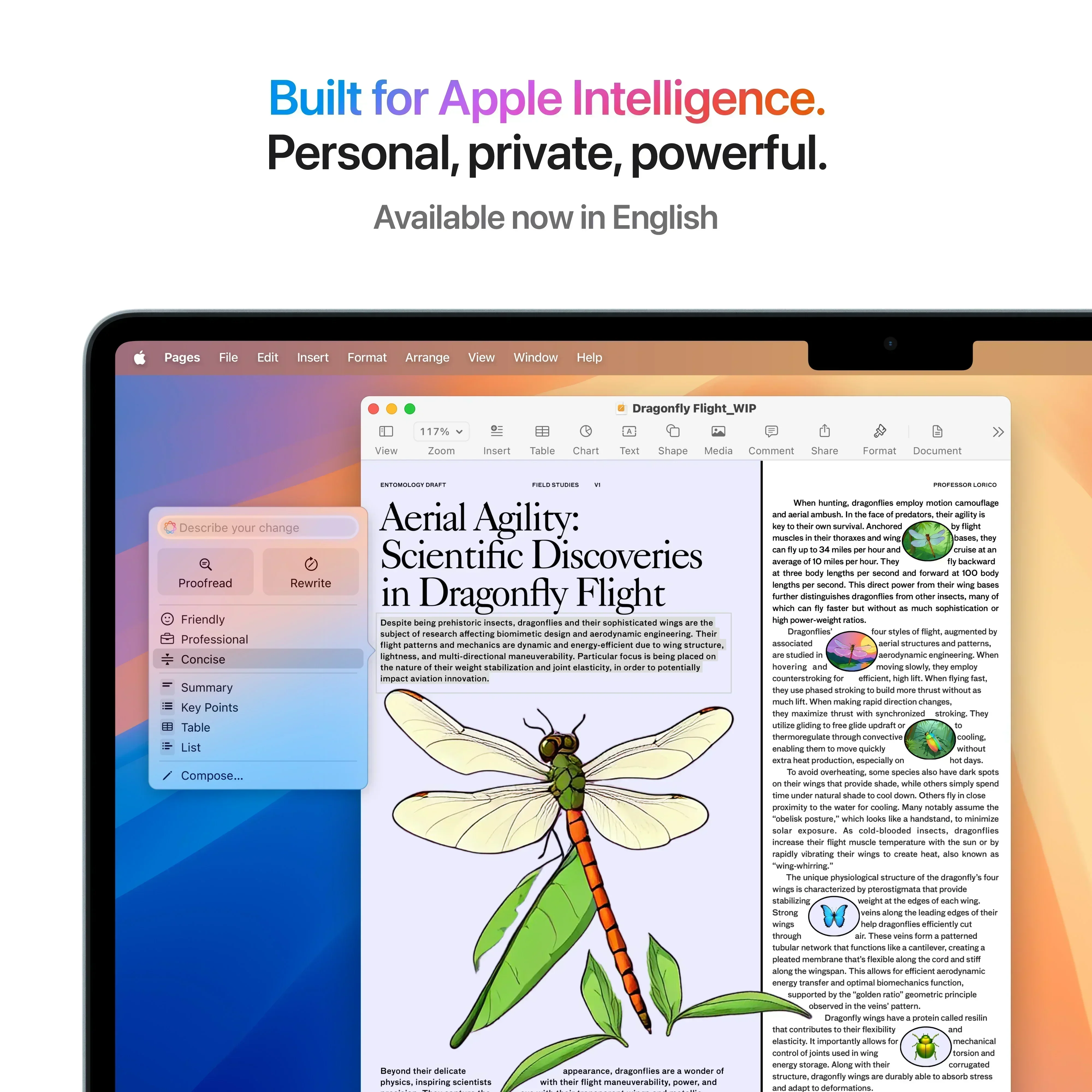 MacBook Air 15", procesor Apple M4, 10 nuclee CPU si 10 nuclee GPU, 16GB, 256GB, Sky Blue, INT KB - Image 6