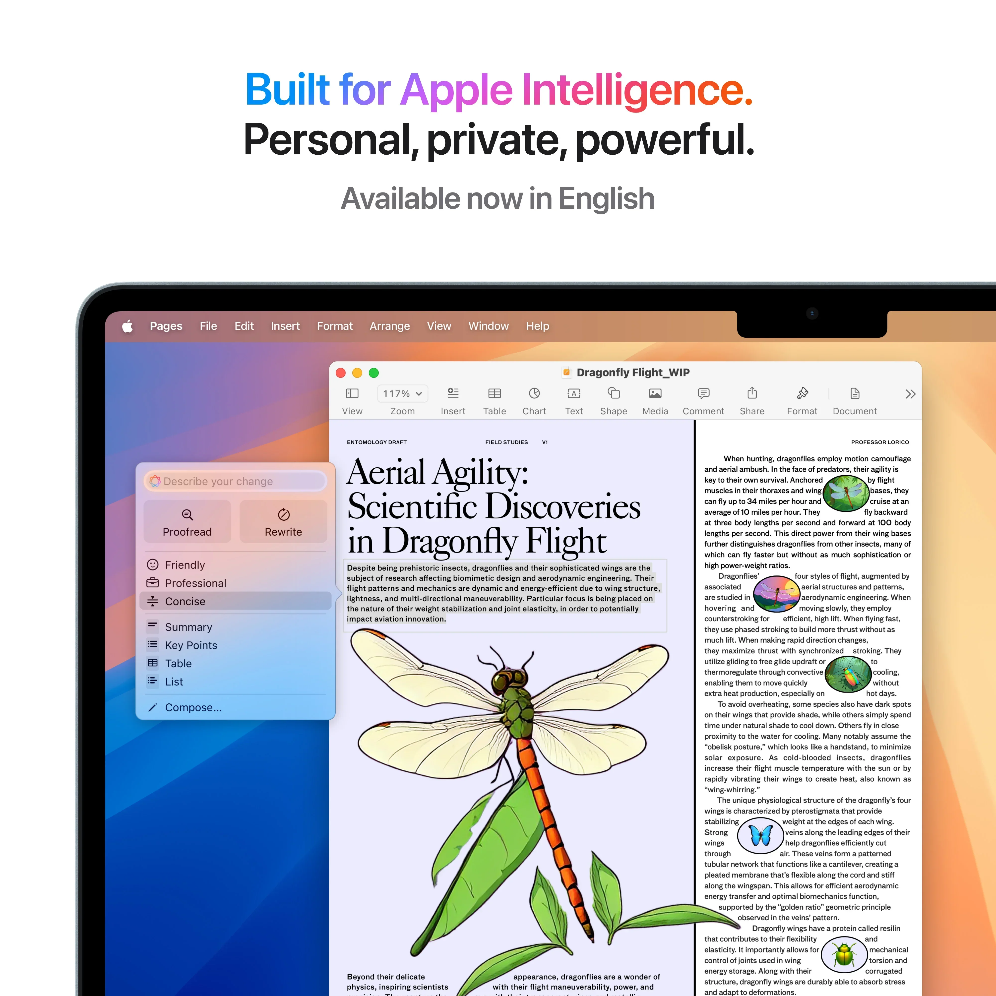 MacBook Air 15", procesor Apple M4, 10 nuclee CPU si 10 nuclee GPU, 16GB, 512GB, Sky Blue, INT KB - Image 6